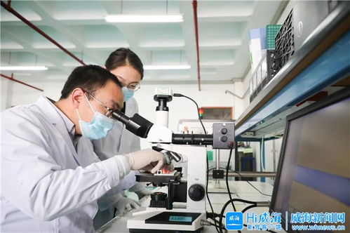 威海市人民政府 今日威海 政策 激活威海 醫(yī)字系 產(chǎn)業(yè)發(fā)展引擎