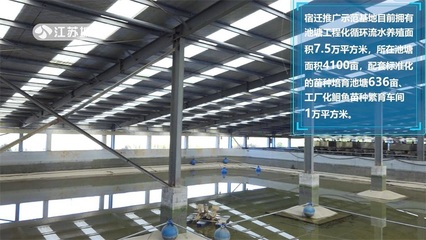 江蘇省淡水水產(chǎn)研究所 全力提升'江豐1號(hào)'良種覆蓋率